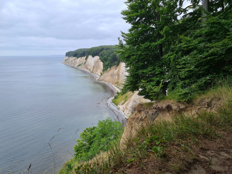 9 Kilometer durch den wunderschönen Buchenwald des Nationalparks Jasmund