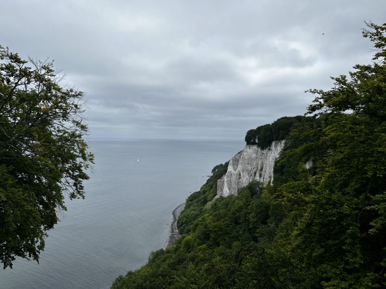 9 Kilometer durch den wunderschönen Buchenwald des Nationalparks Jasmund