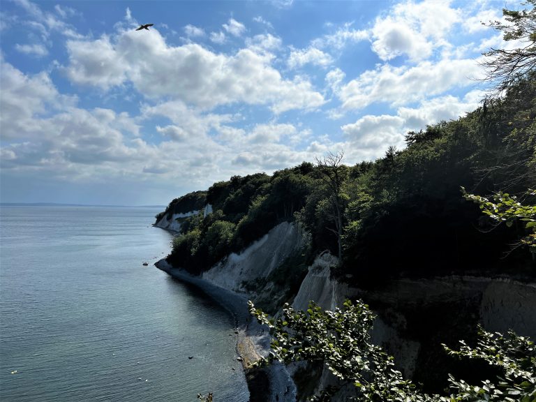 9 Kilometer durch den wunderschönen Buchenwald des Nationalparks Jasmund